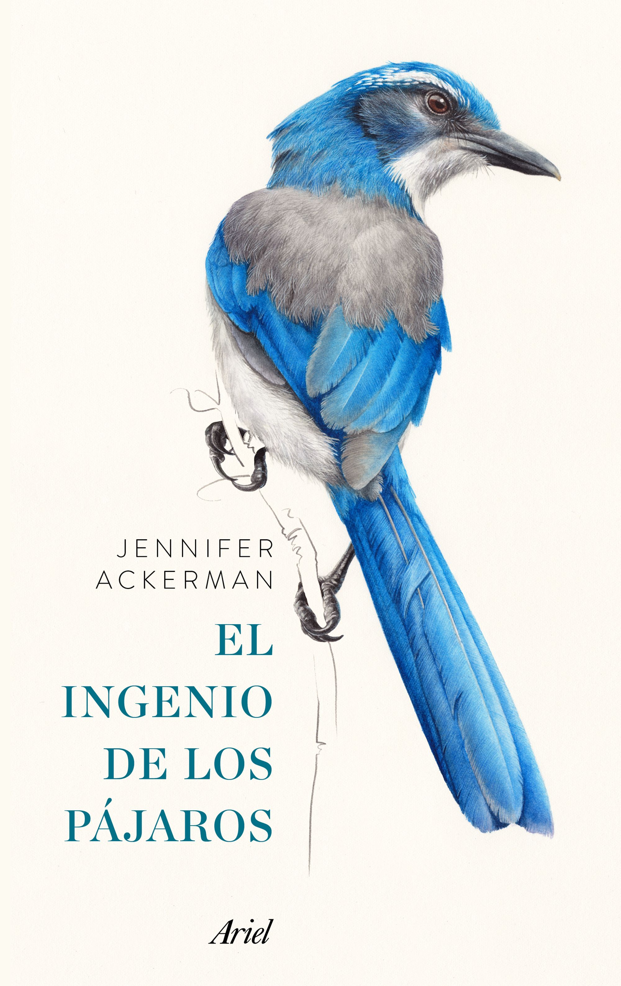 portada_el-ingenio-de-los-pajaros_jennifer-ackerman_201612180011